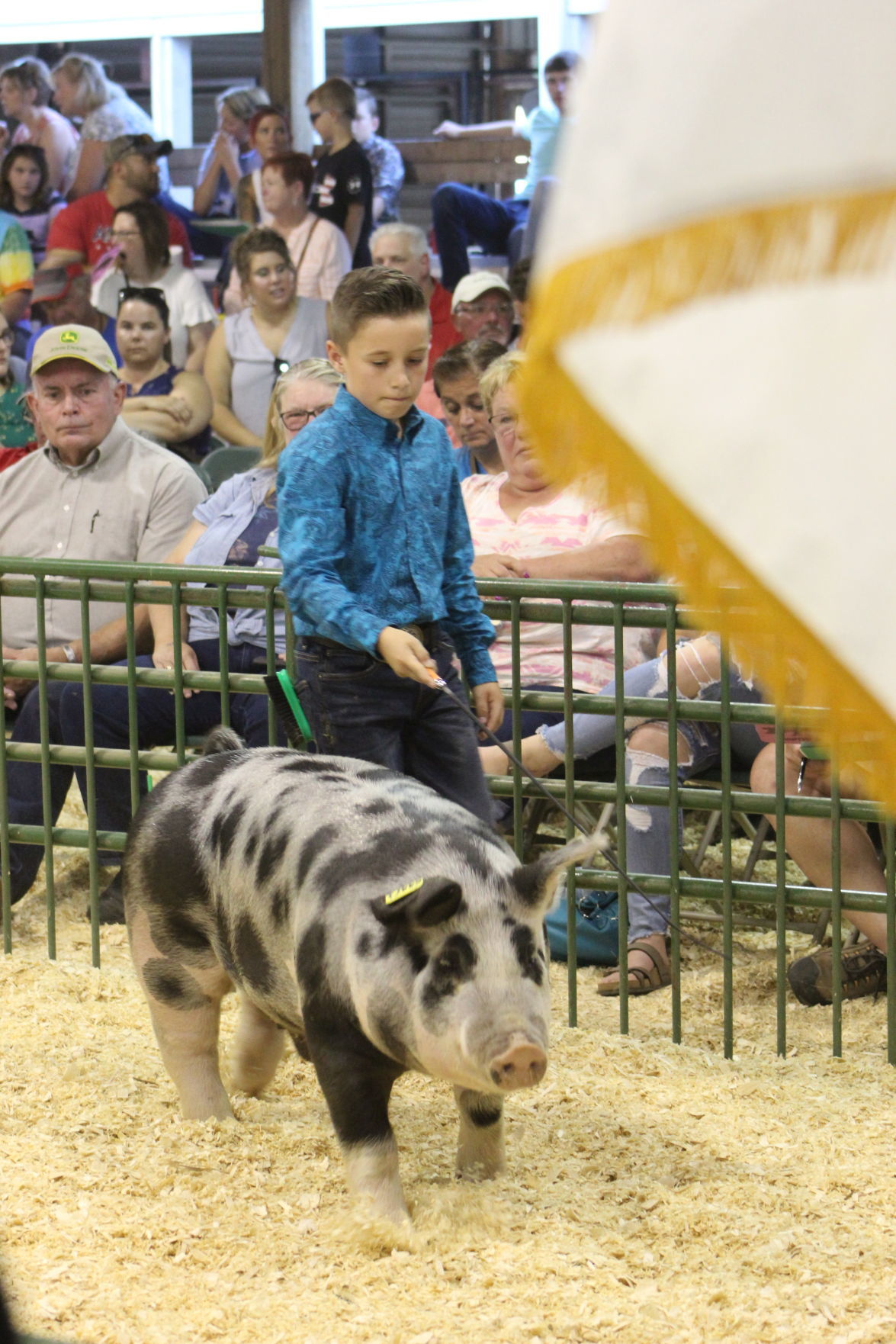 Best of the Best sold at Porter County Fair
